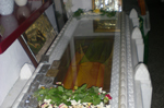 Τα Ιερά λείψανα του Αγίου Νικολάου και της Αγίας Ολυμπίας